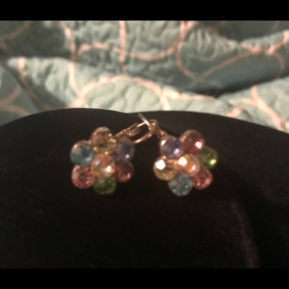 Multi Colored Stone Silver Flower Earrings NWOT